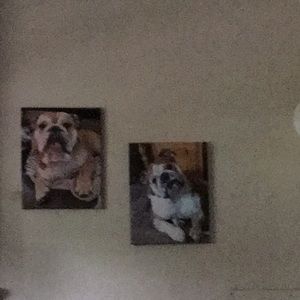 Meet your Posher, Leeann